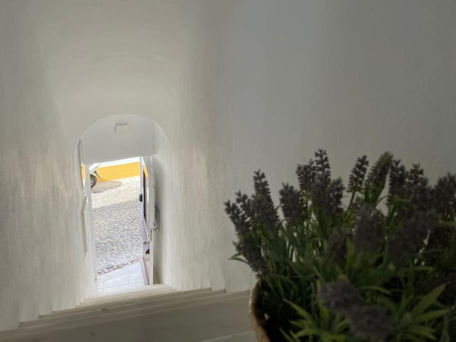 Casa Da Oliveira Διαμέρισμα Έβορα Εξωτερικό φωτογραφία